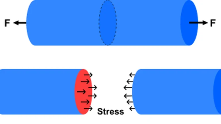 The Complete Guide to Strain Stress Worth Knowing